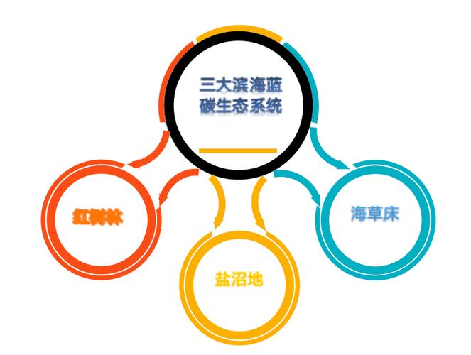 多吃鱼也是一种碳减排?
